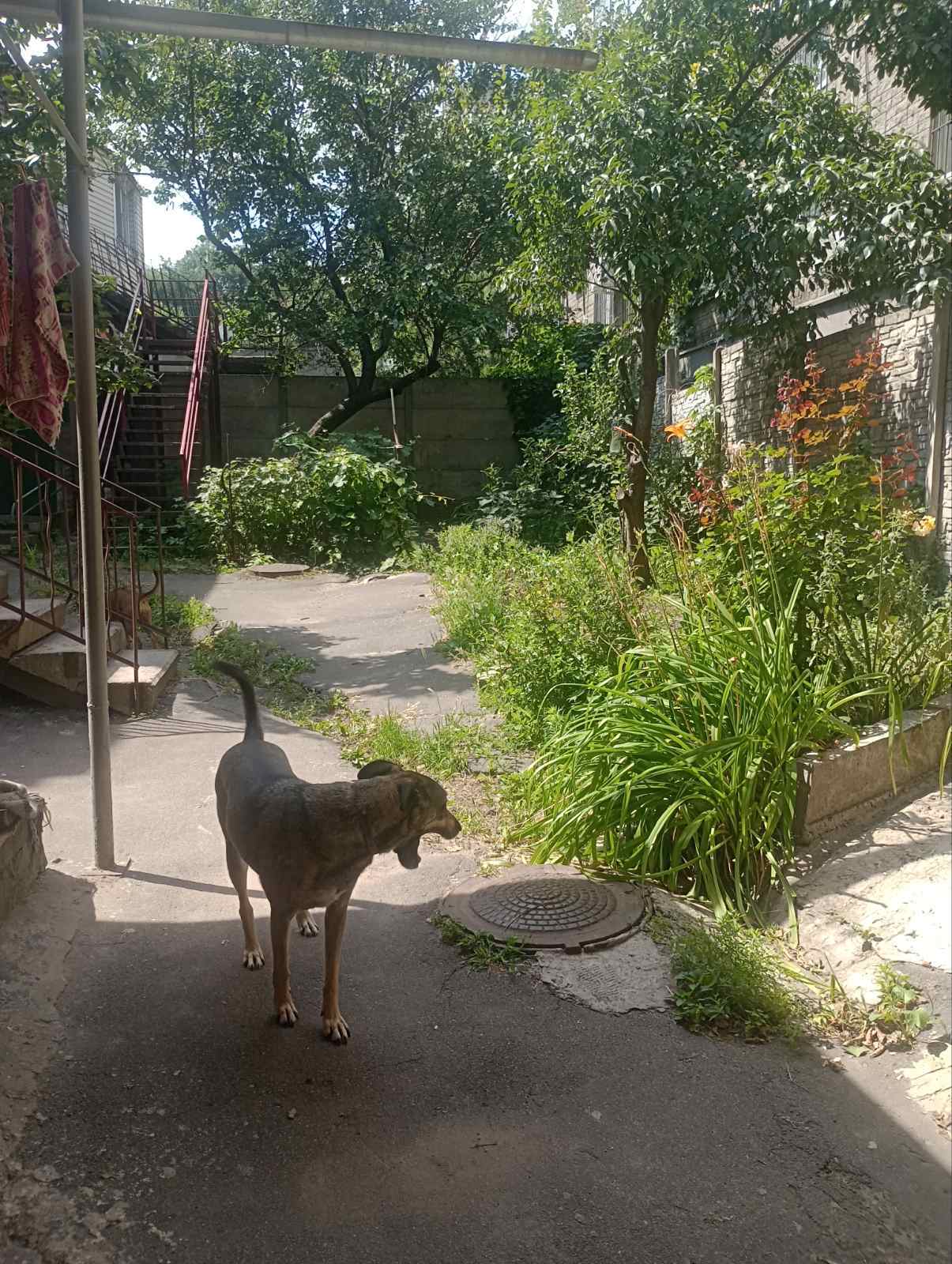 Продажа 2-комнатной квартиры 52 м², Романа Шухевича ул., 63
