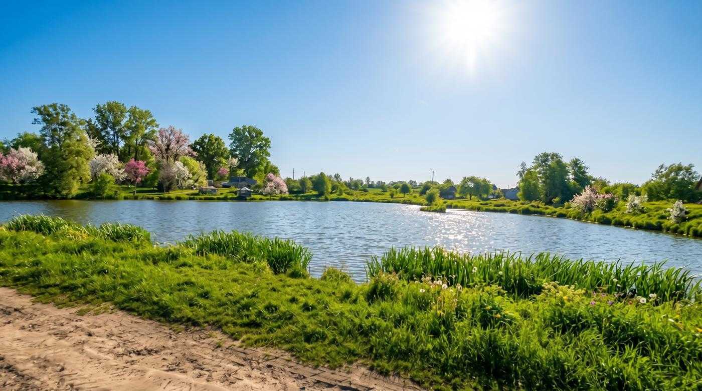 Продаж ділянки під індивідуальне житлове будівництво 21 соток, Шевченка