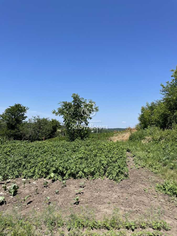 Продаж ділянки під індивідуальне житлове будівництво 49 соток, Підгірна