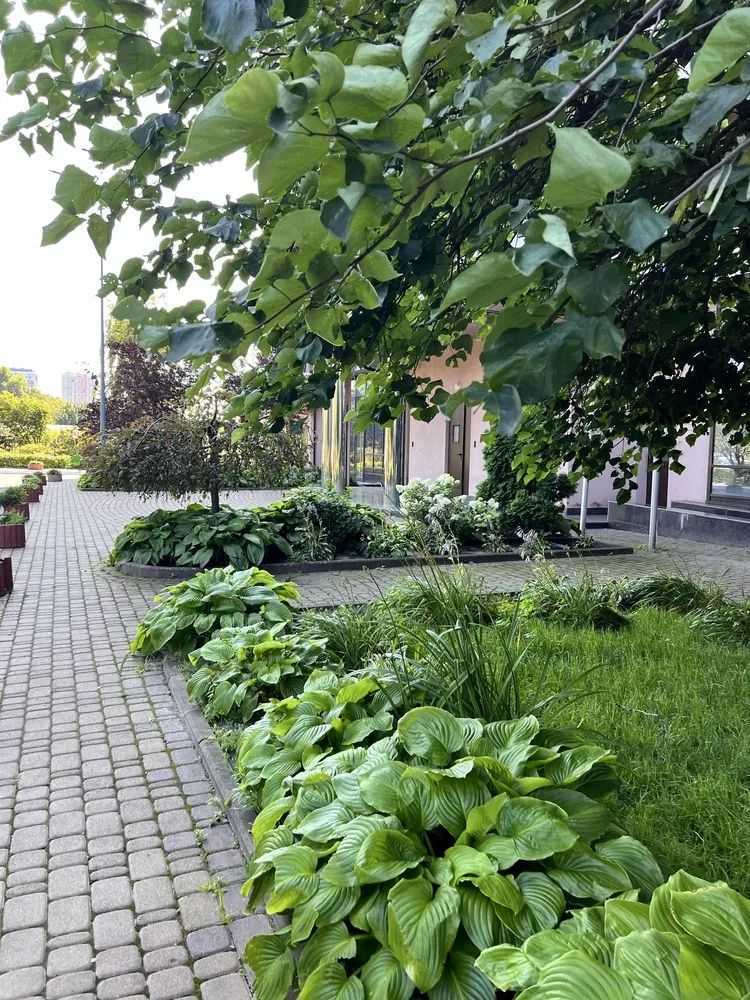 Аренда 2-комнатной квартиры 58 м², Дегтяревская ул., 25А К1