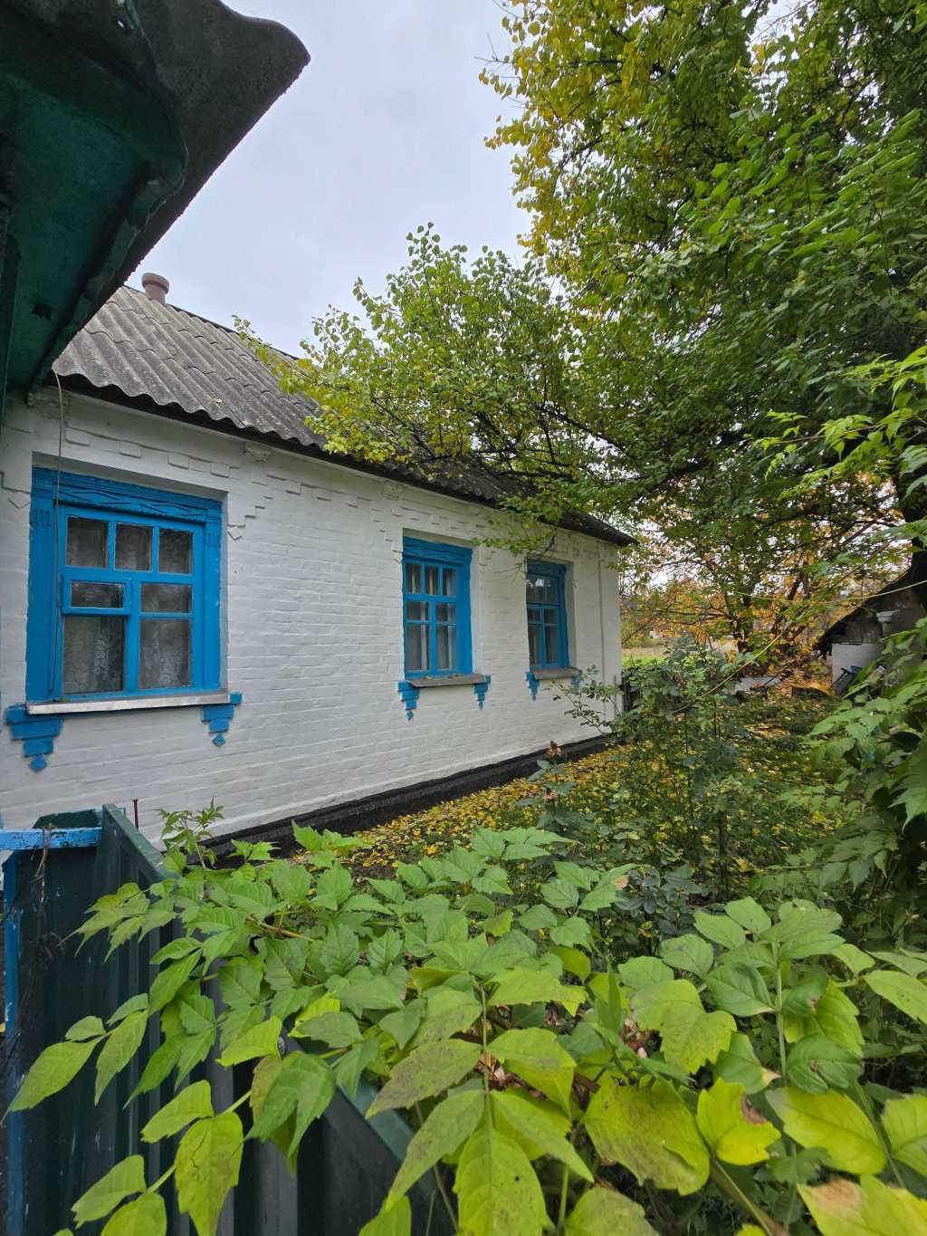 Продажа дома 56 м², Центральна, 1