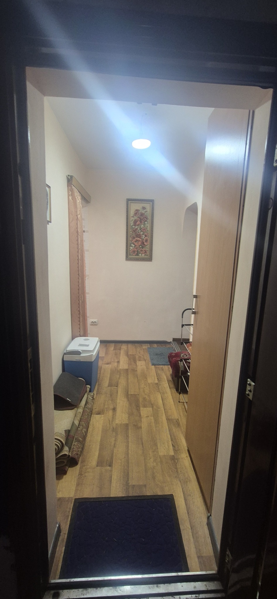 Продажа 1-комнатной квартиры 29 м², Школьная ул., 1