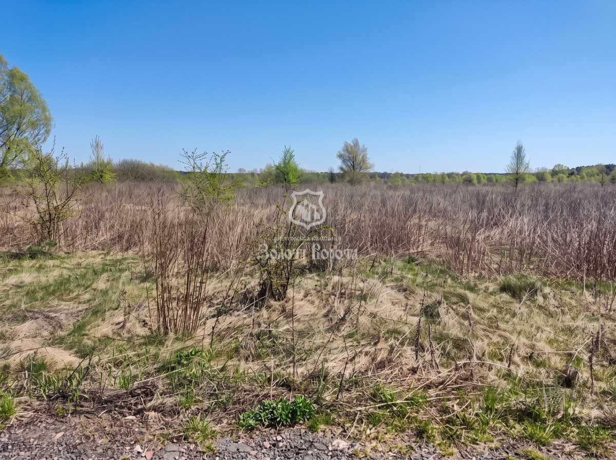 Продаж ділянки під індивідуальне житлове будівництво 160 соток, Незалежності