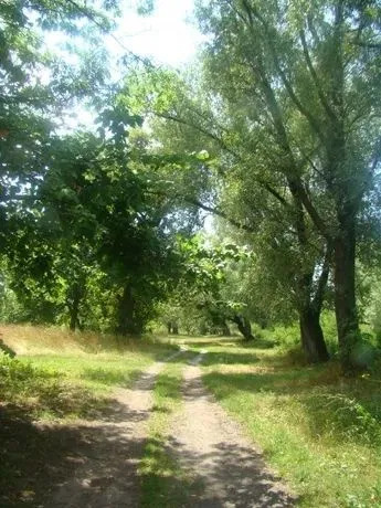 Оренда будинку 200 м²