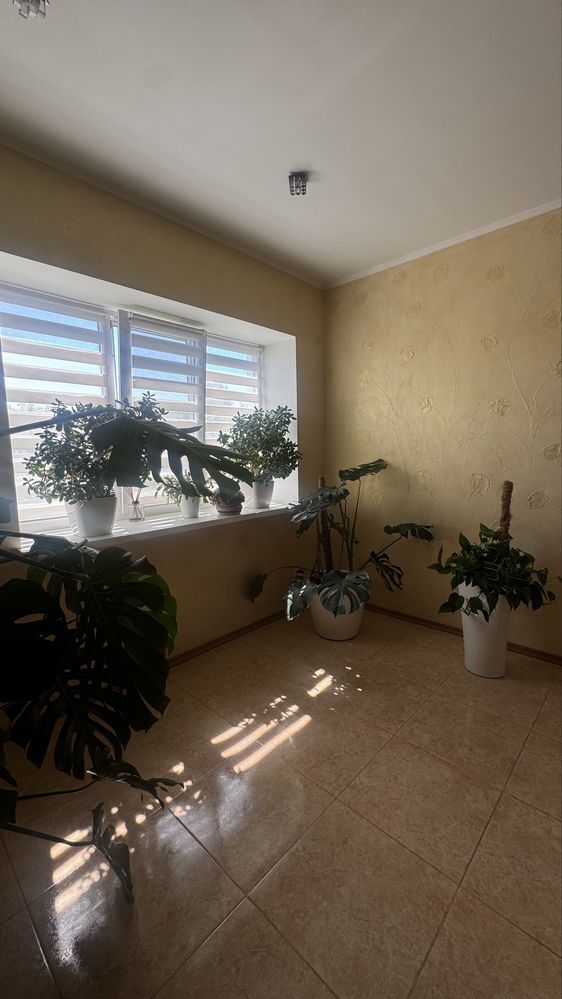 Оренда дуплексу 150 м², 2-й Лермонтова пров.