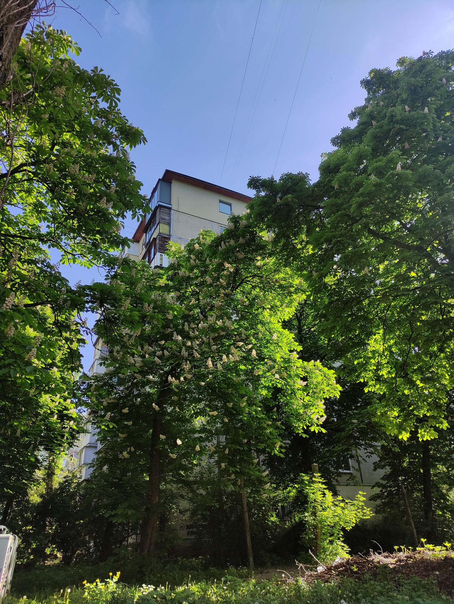 Продажа 2-комнатной квартиры 47 м², Вацлава Гавела бул., 5А