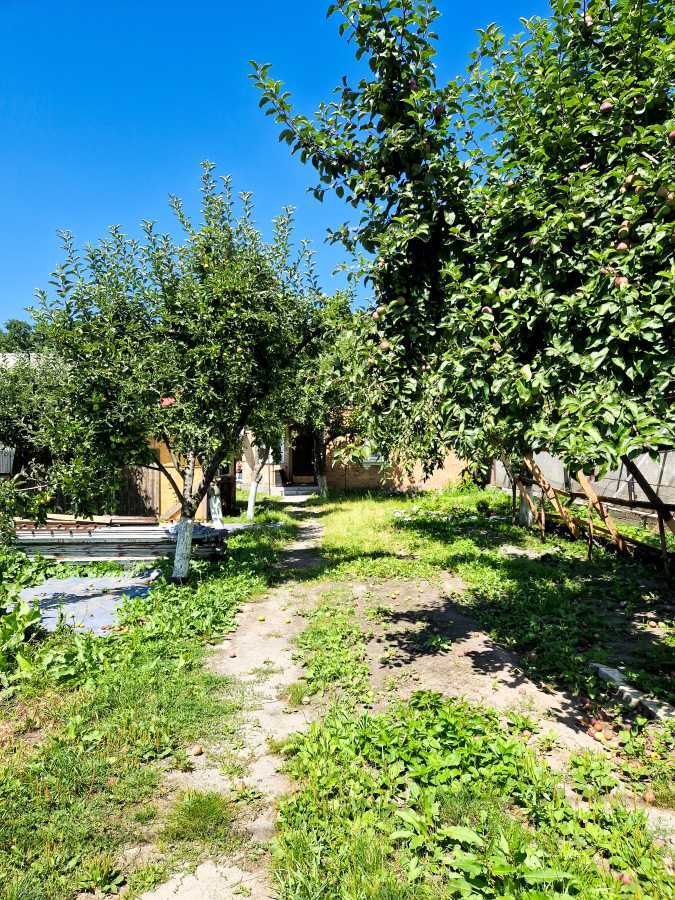 Оренда будинку 54 м², Вірменська вул., 27/31