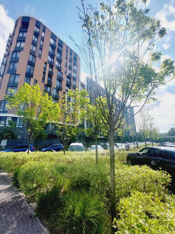 Аренда 1-комнатной квартиры 40 м², Братъев Шеметов, 10/8