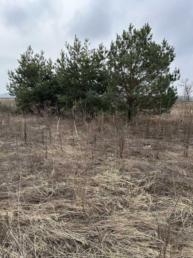 Продаж ділянки під індивідуальне житлове будівництво 20 соток, Залізнична 11