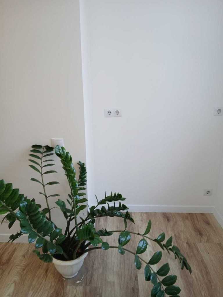 Продажа 1-комнатной квартиры 24 м², Зброярська, 7