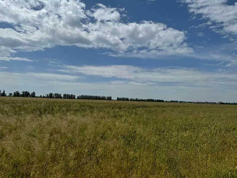 Продажа участка под индивидуальное жилое строительство 910.15 соток, Нова