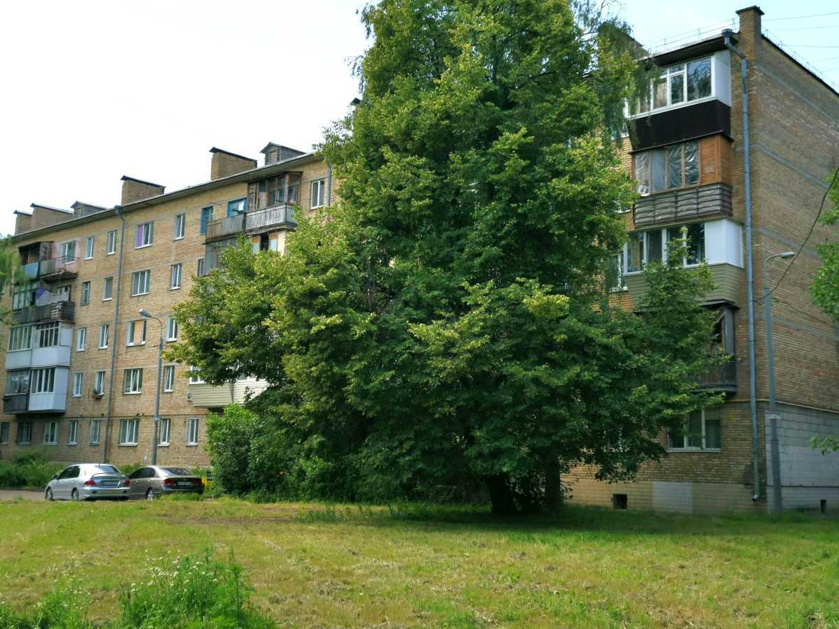 Продаж 1-кімнатної квартири 31.4 м², Мрії, 5Г