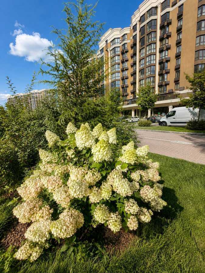 Продаж 1-кімнатної квартири 43.5 м², ЖК Софія Резіденс, Будинок 27 (Молодіжна, 10)