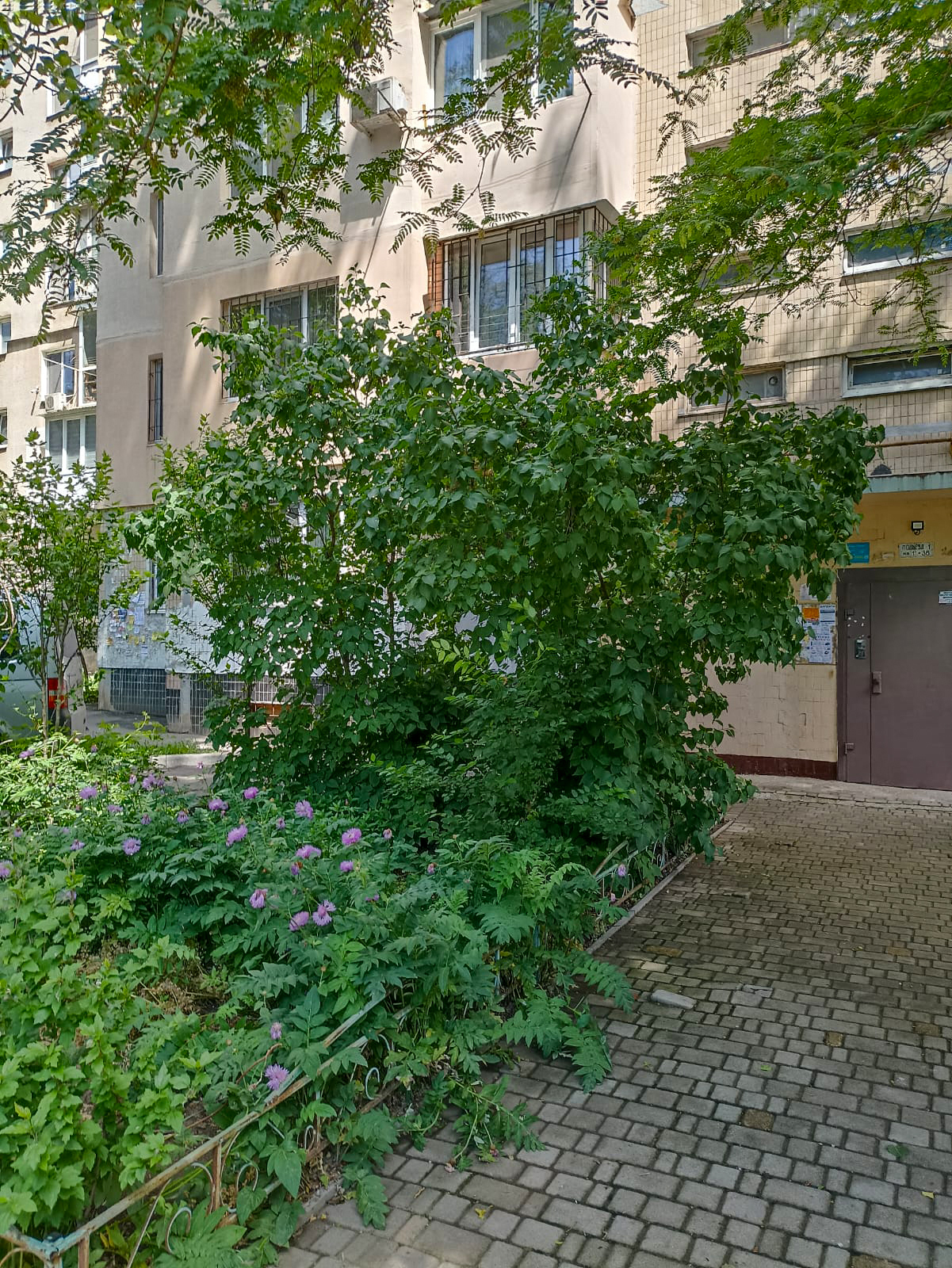 Продаж 3-кімнатної квартири 67 м², Ільфа і Петрова вул.