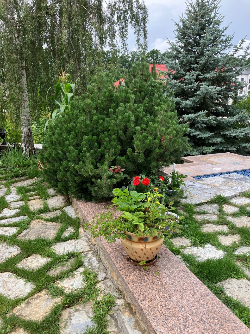Продаж будинку 529 м², Івана Мазепи вул.