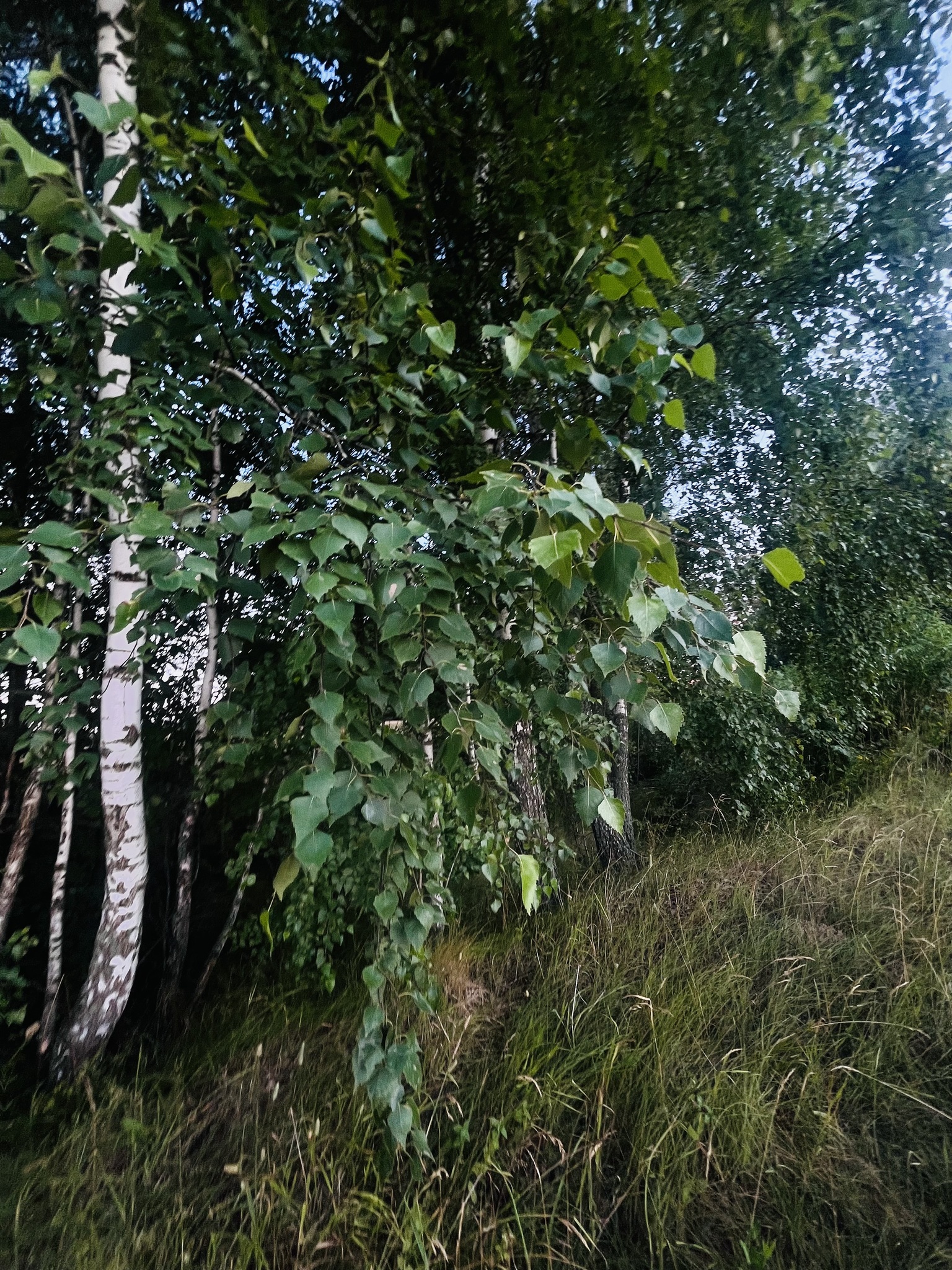 Оренда будинку 65 м²