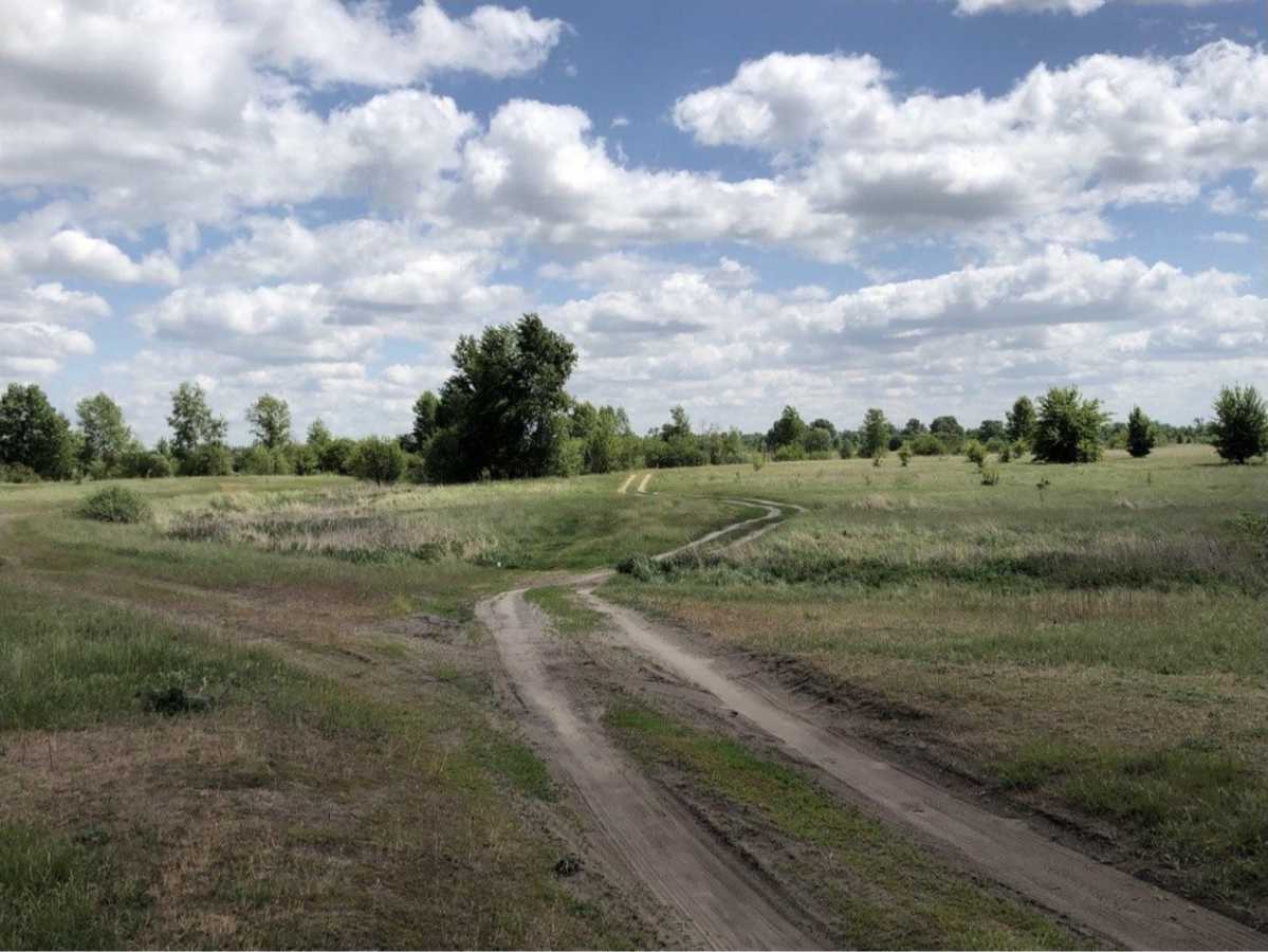 Продажа участка под индивидуальное жилое строительство 500 соток, Корнійчука