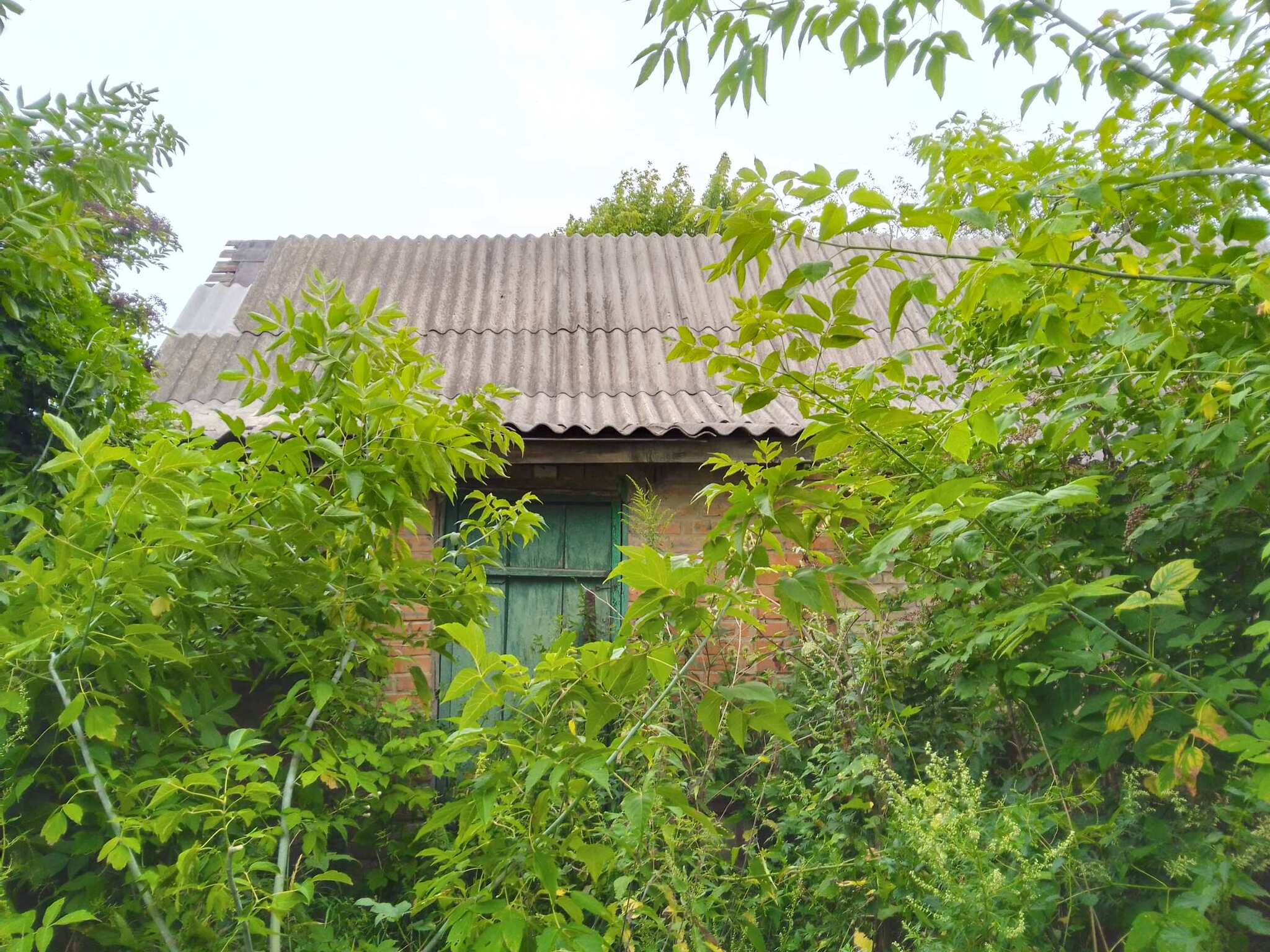 Продажа участка под индивидуальное жилое строительство 25 соток, Зарічна, 31.