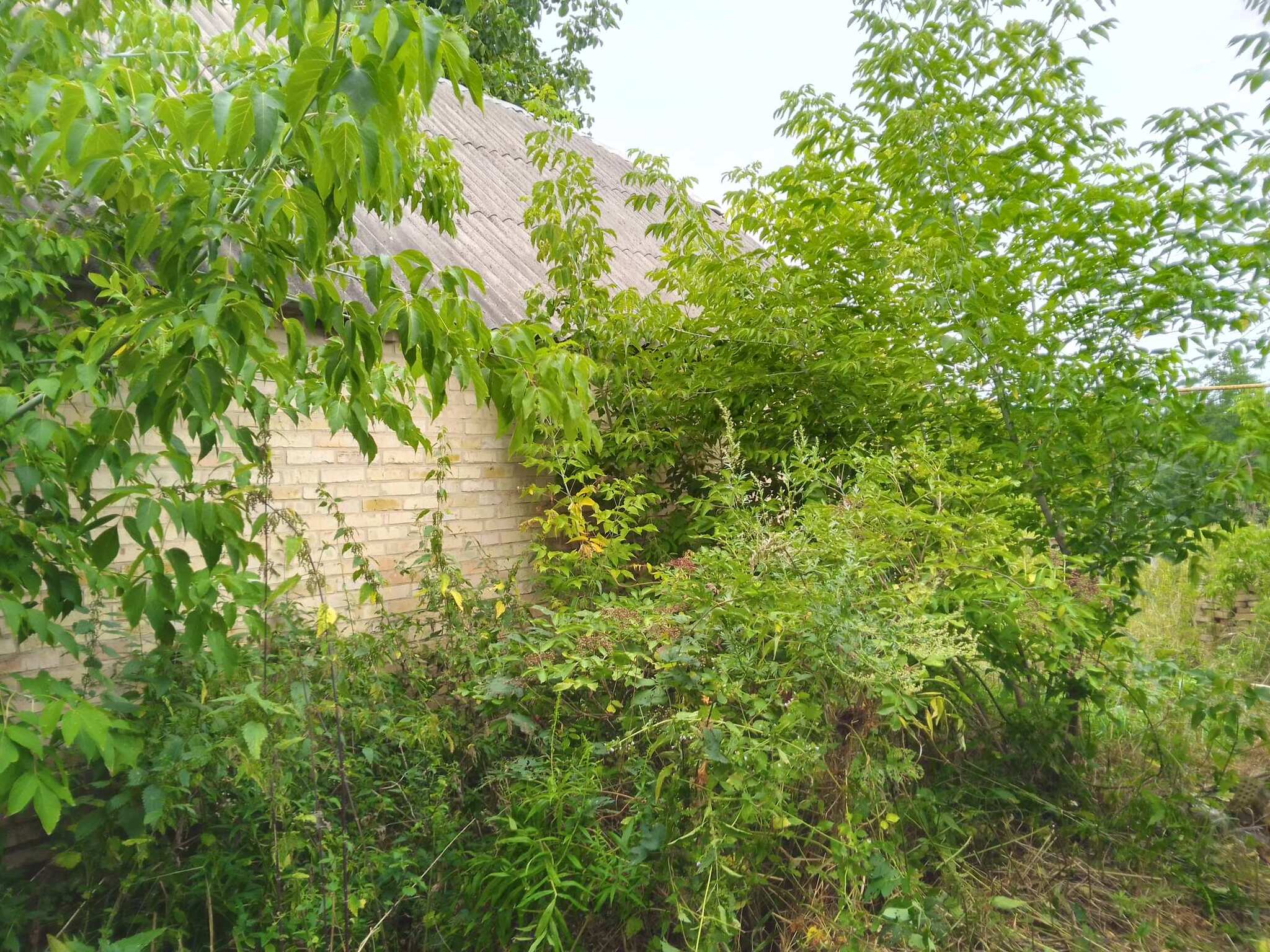 Продажа дома 71 м², Зарічна, 31.