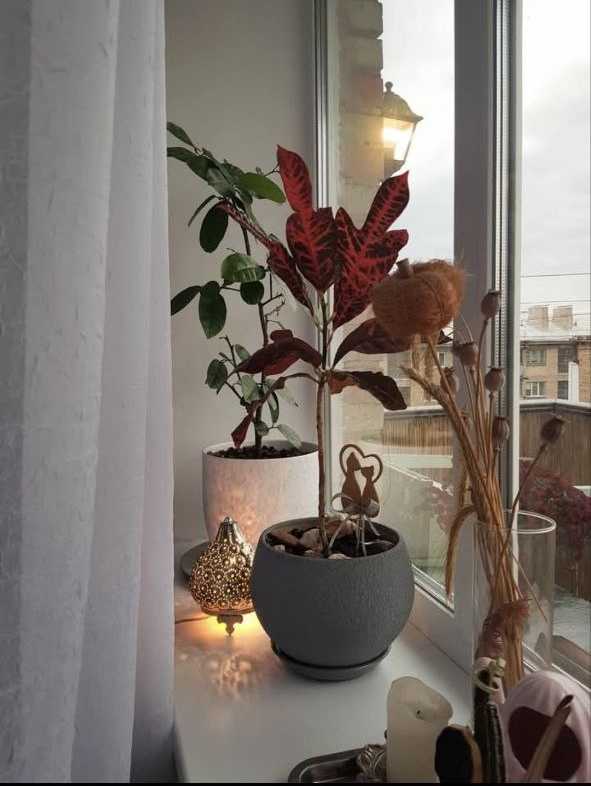 Продажа 1-комнатной квартиры 36.5 м², Уссурийская ул., 6