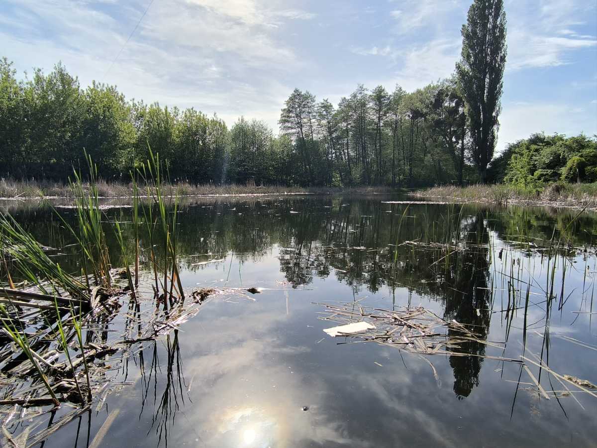 Продажа дома 40 м², Польова