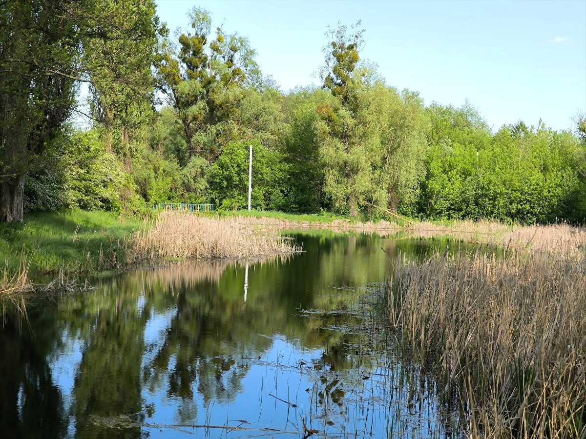 Продажа дома 40 м², Польова