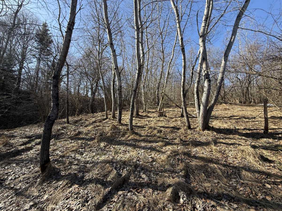 Продажа участка для личного сельского хозяйства 98 соток, Зарічка