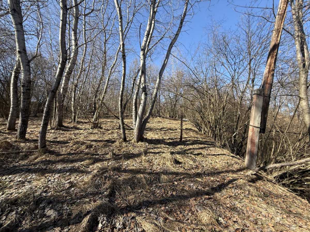 Продажа участка для личного сельского хозяйства 98 соток, Зарічка