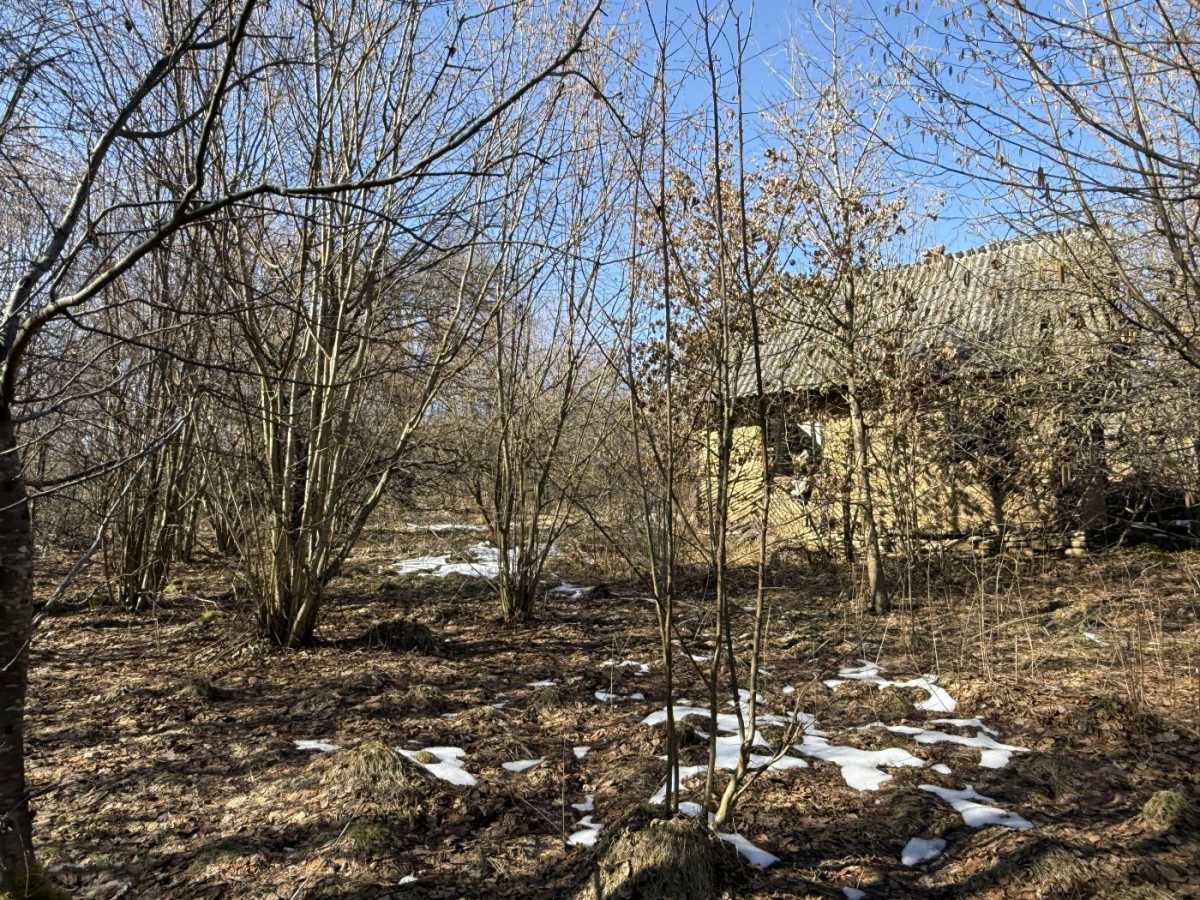 Продажа участка для личного сельского хозяйства 98 соток, Зарічка