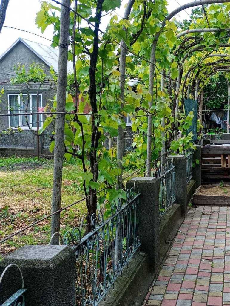 Продажа 3-комнатной квартиры 62 м², Патриотическая ул.