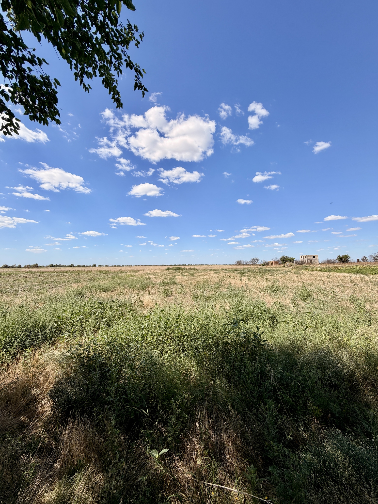 Продажа дома 90 м², Новосельська 3