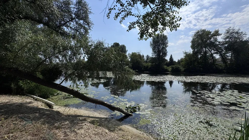 Аренда дома 50 м², 63-я Садовая ул.