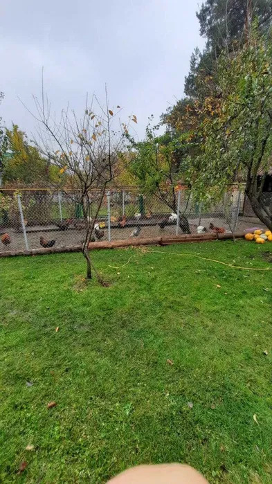 Аренда дома 100 м², Процевская ул.