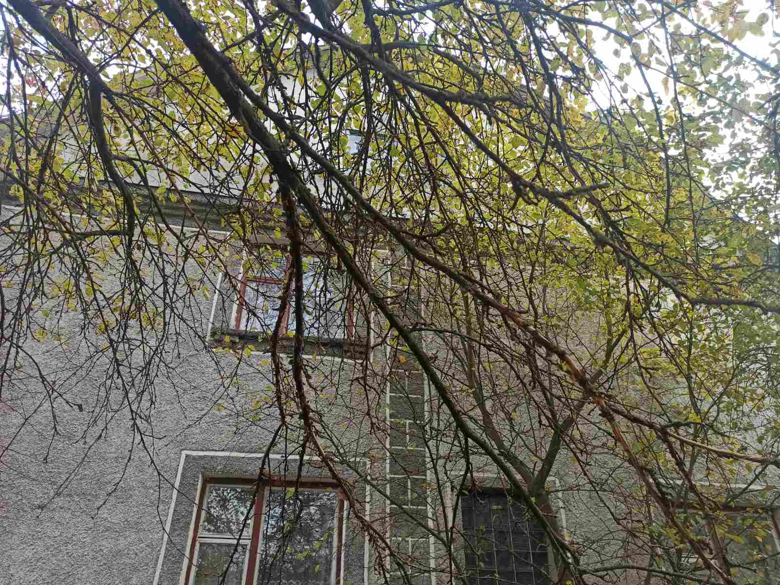 Продажа дома 240 м²