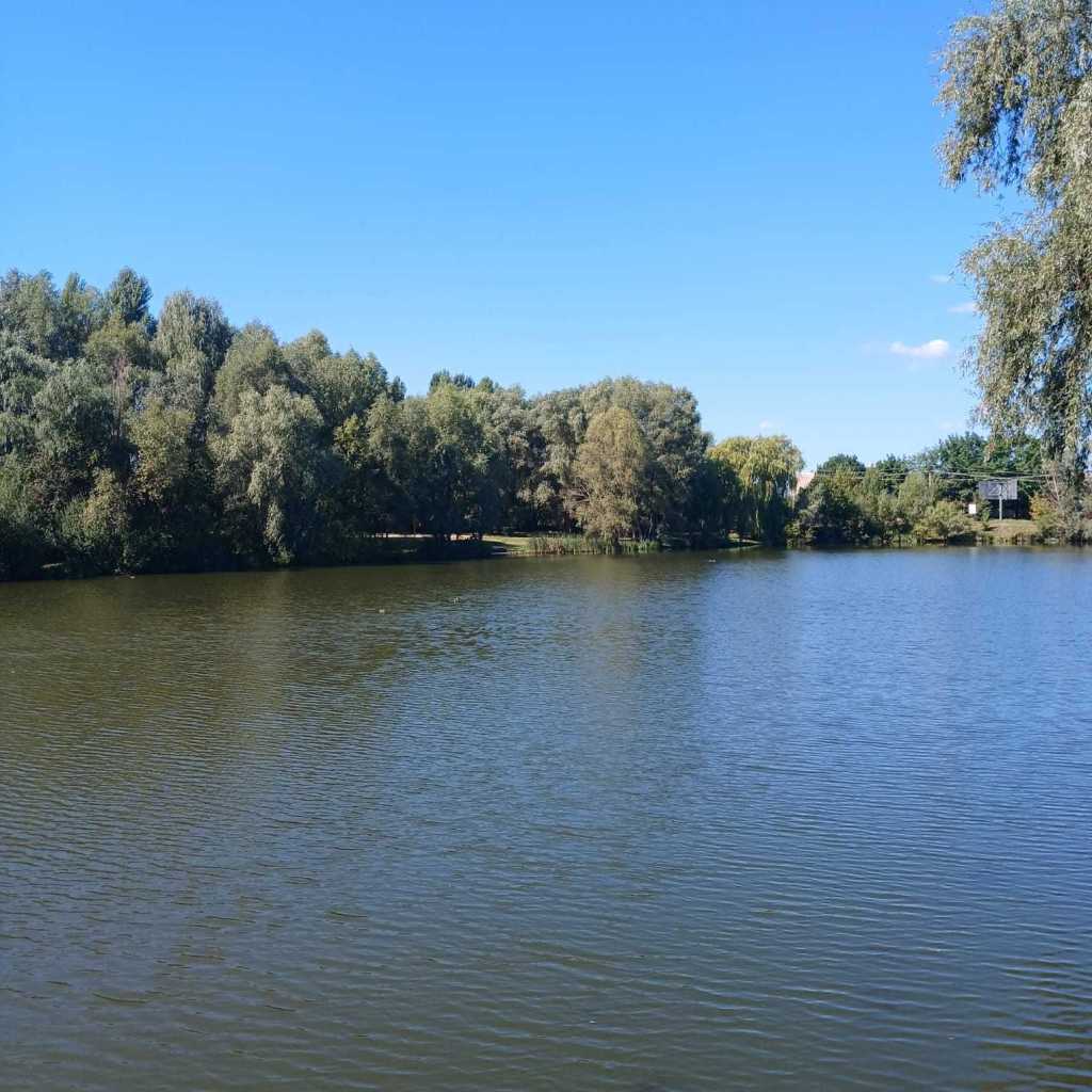 Продаж 2-кімнатної квартири 49.5 м², ЖК City Lake, Ювілейний пров., 2/6