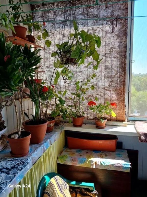 Продажа 3-комнатной квартиры 72 м², Александра Поля просп., 44