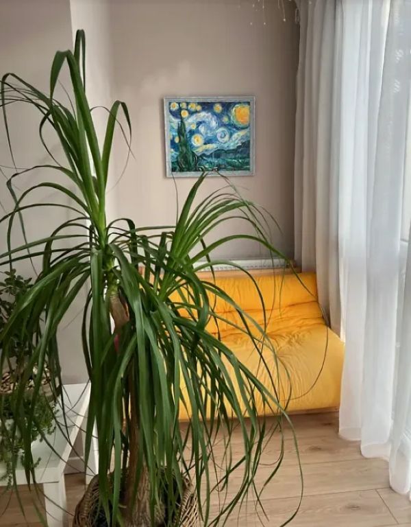 Продажа 2-комнатной квартиры 74 м², Набережная Победы ул., 44