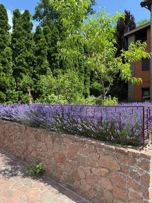 Аренда дома 460 м², Энергетиков ул.