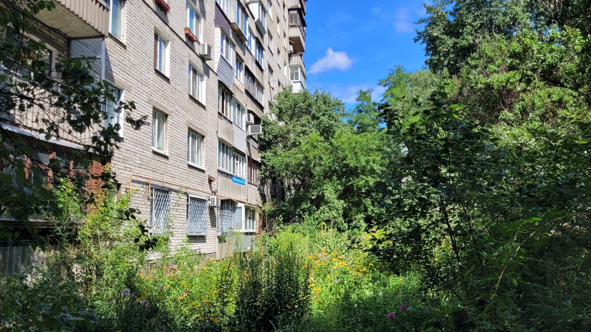 Продажа 2-комнатной квартиры 50.5 м², Половецкая ул., 16А