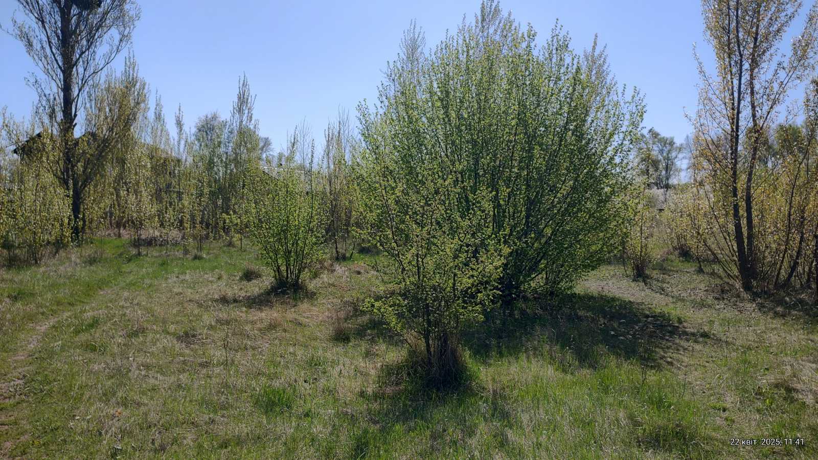 Продажа участка под индивидуальное жилое строительство 7.38 соток, Вірності