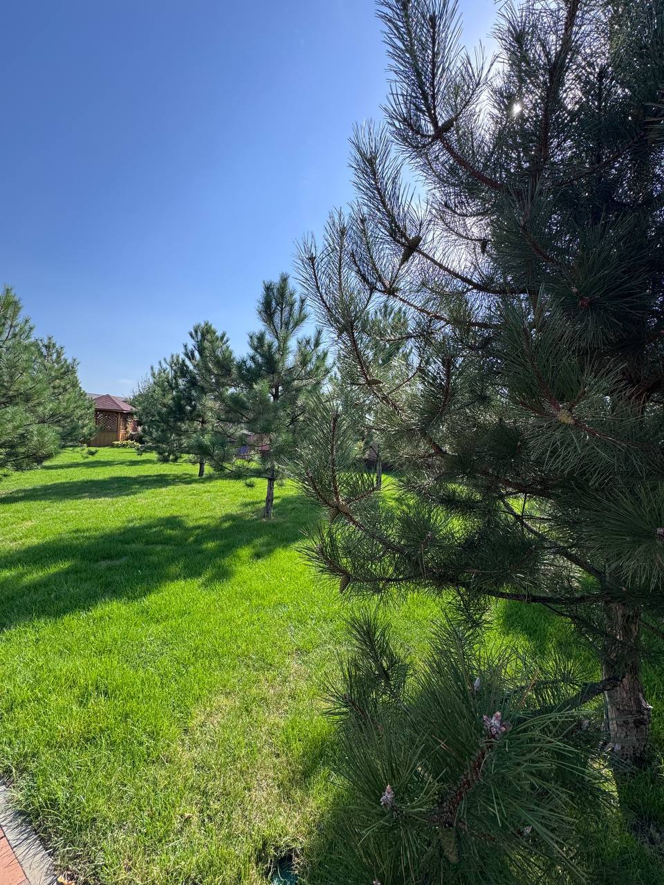 Продаж будинку 320 м²