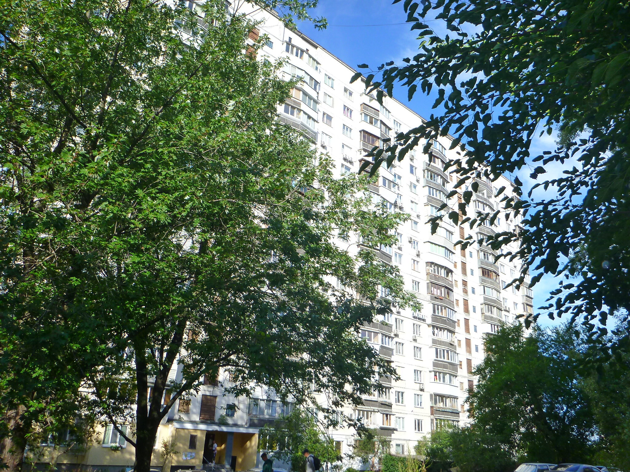 Продажа 2-комнатной квартиры 44 м², Пантелеймона Кулиша ул., 15