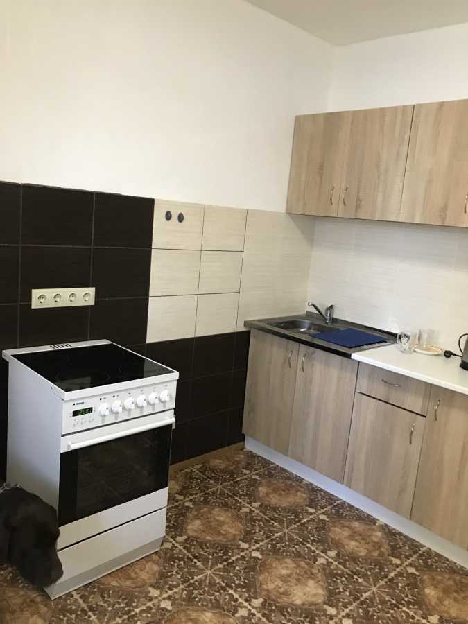 Аренда 1-комнатной квартиры 40.5 м², Ярослава Гашека бул., 20/3