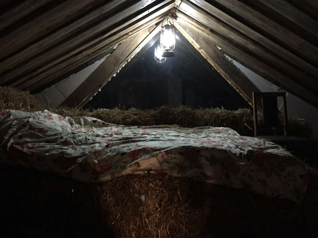 Дом посуточно 90 м², Центральная