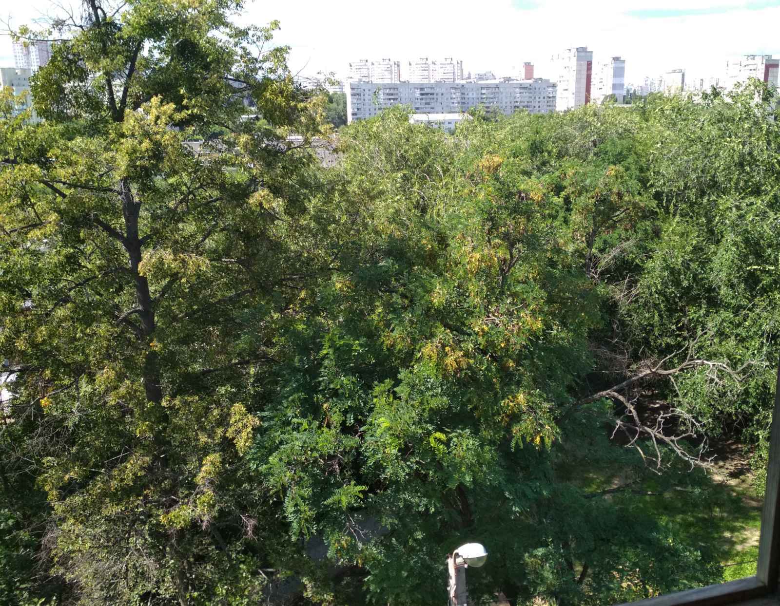 Продажа 2-комнатной квартиры 43 м², Науки просп., 59