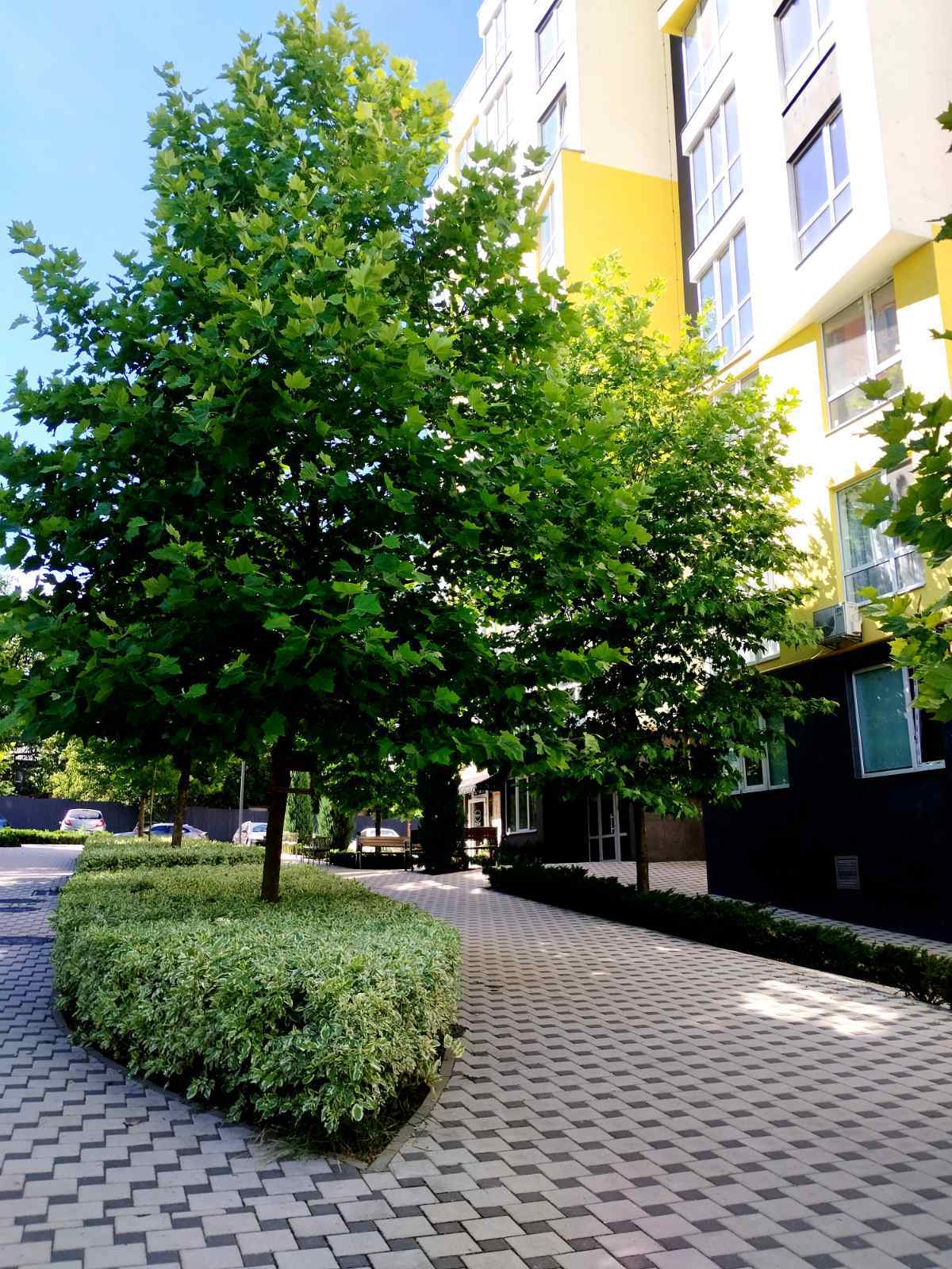 Продаж 1-кімнатної квартири 42 м², Сковороди вул.