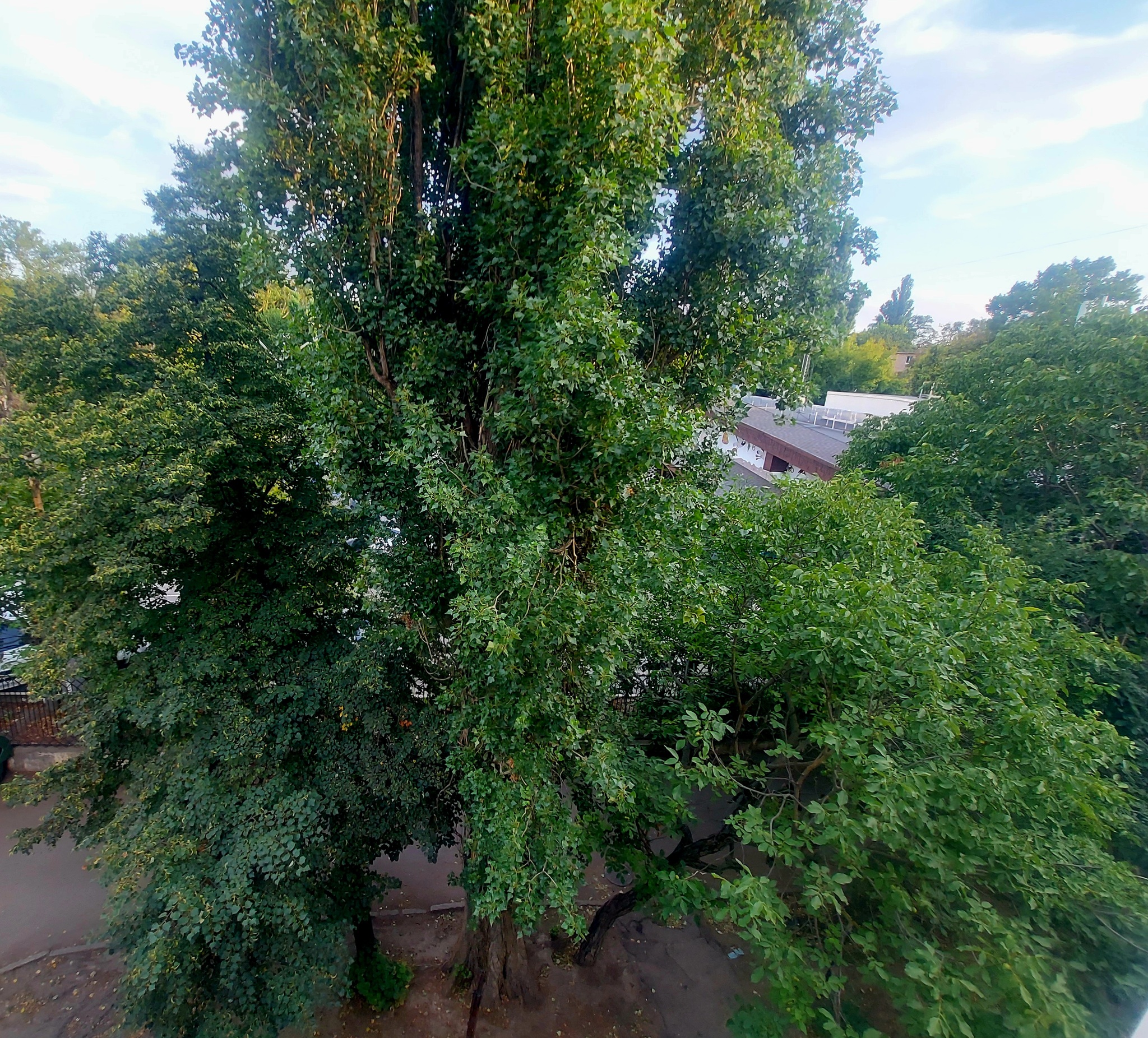Аренда 1-комнатной квартиры 33 м², Люстдорфская дор., 54А