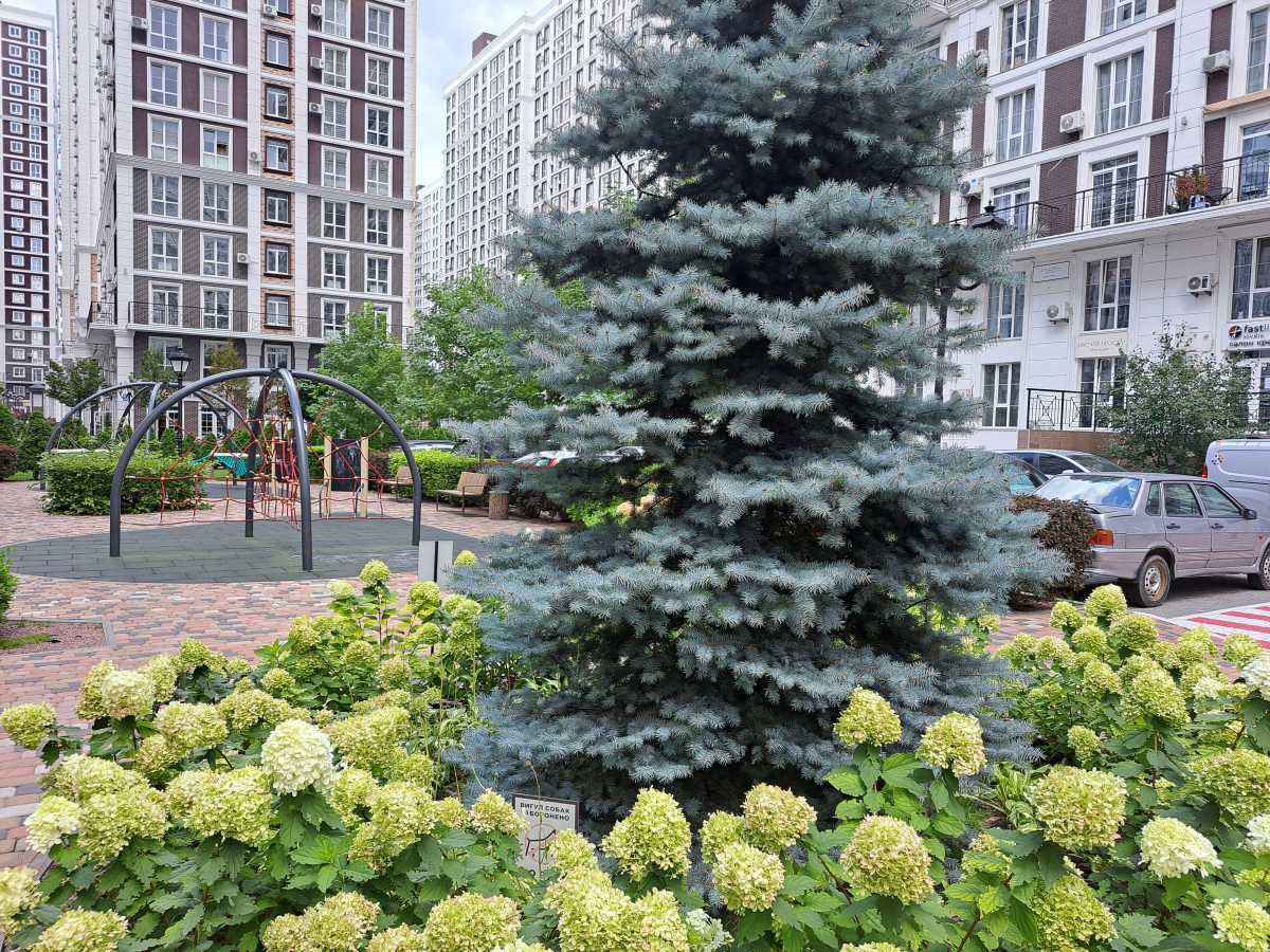 Аренда 1-комнатной квартиры 30 м², Михаила Максимовича ул., 28е