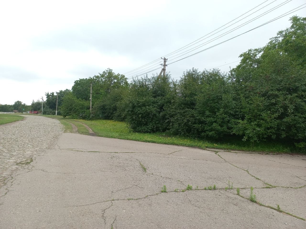Продажа дома 12400 м²