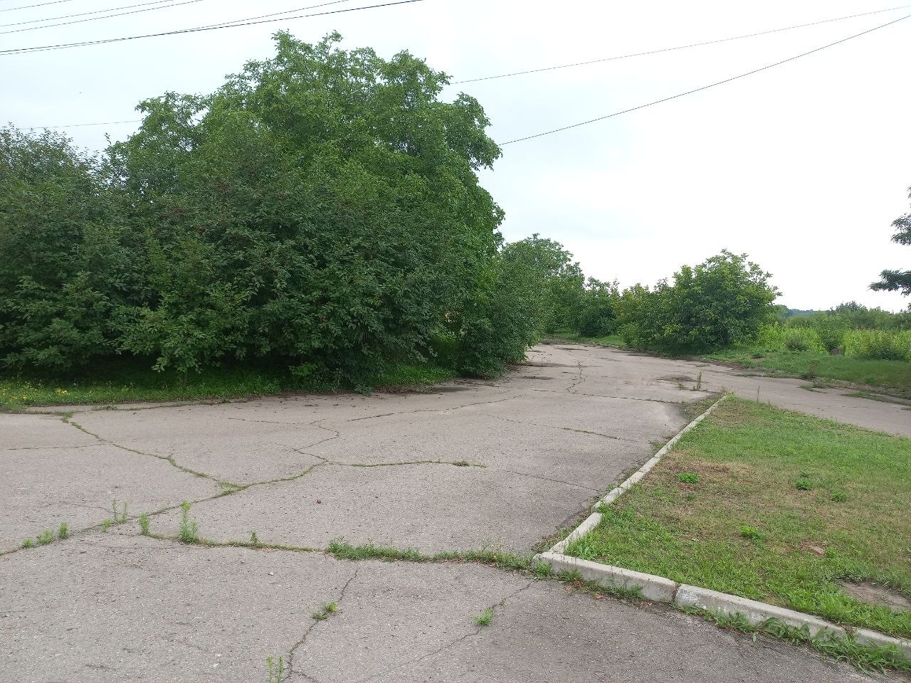 Продажа дома 12400 м²